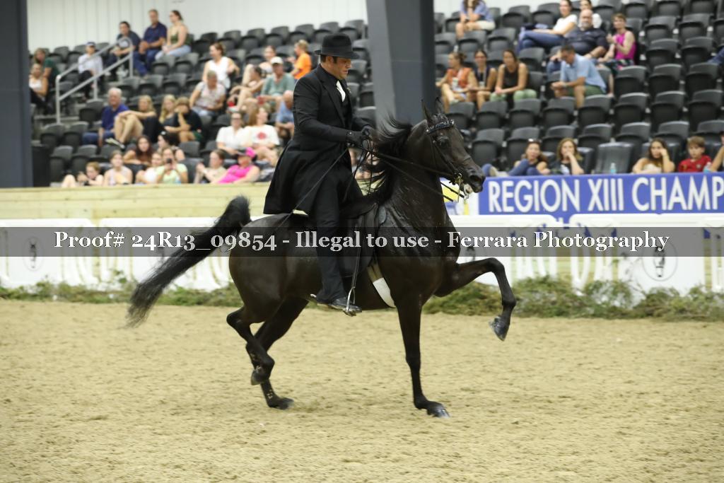 Proof 24R13_09854