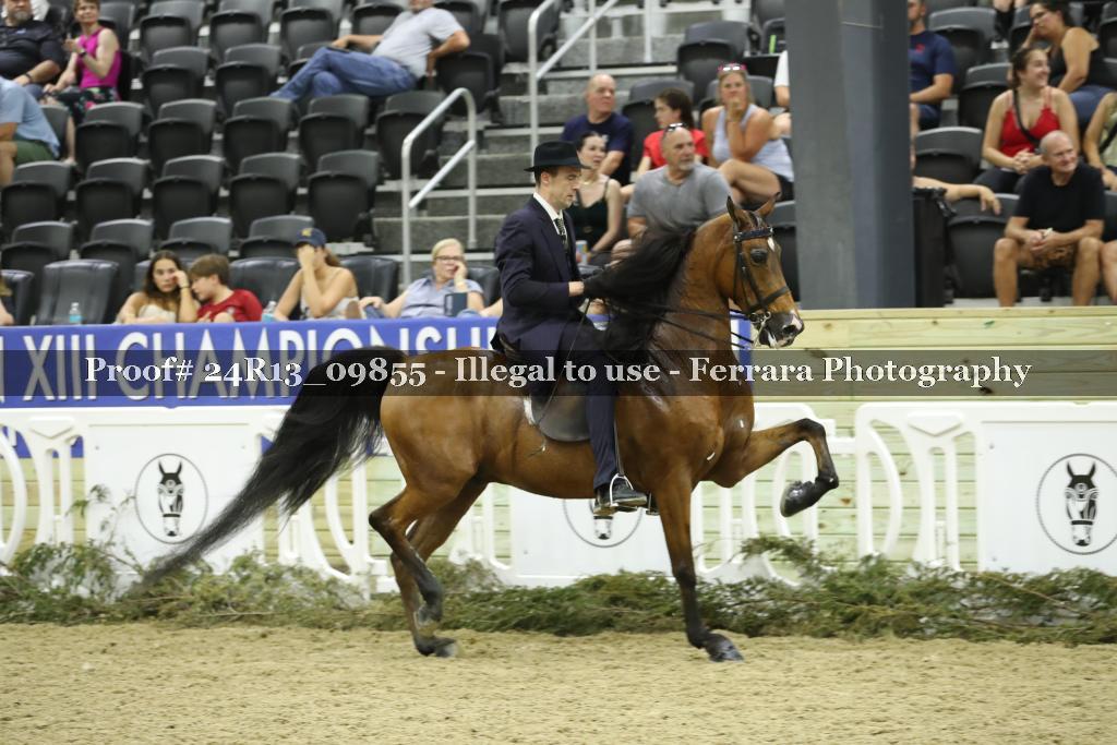 Proof 24R13_09855