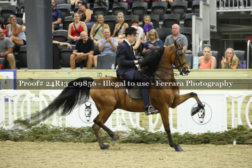 Proof 24R13_09856