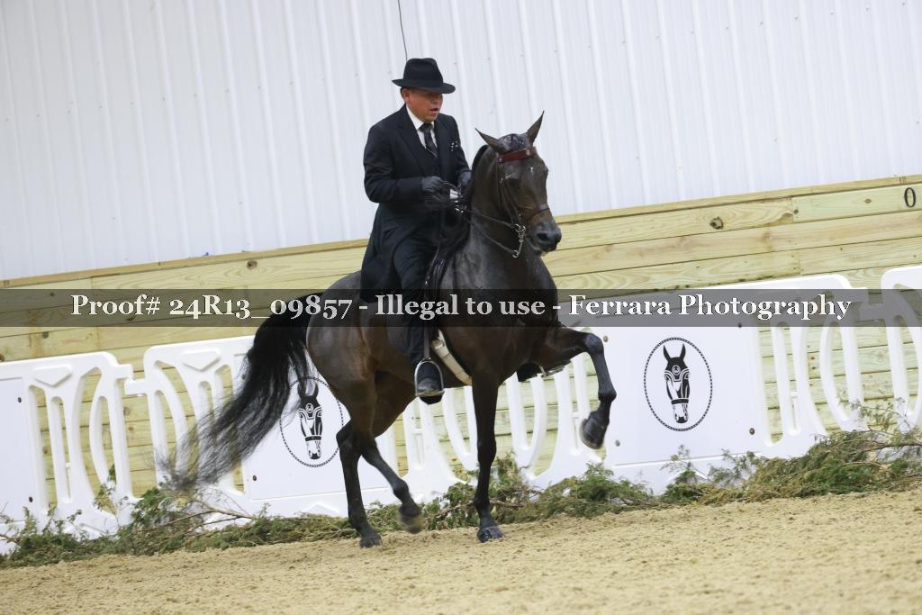 Proof 24R13_09857