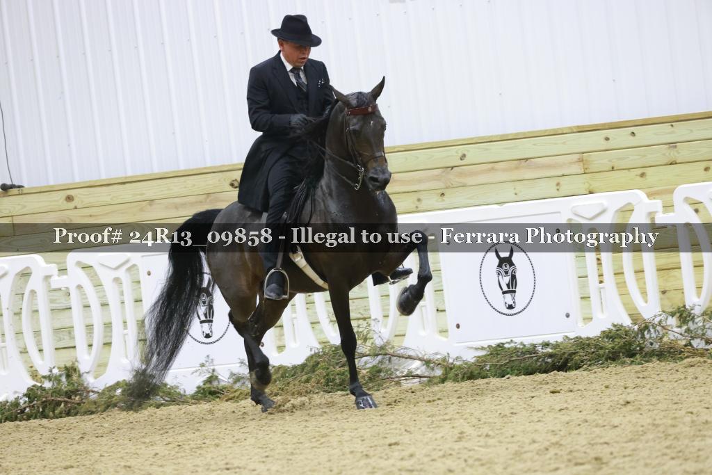 Proof 24R13_09858