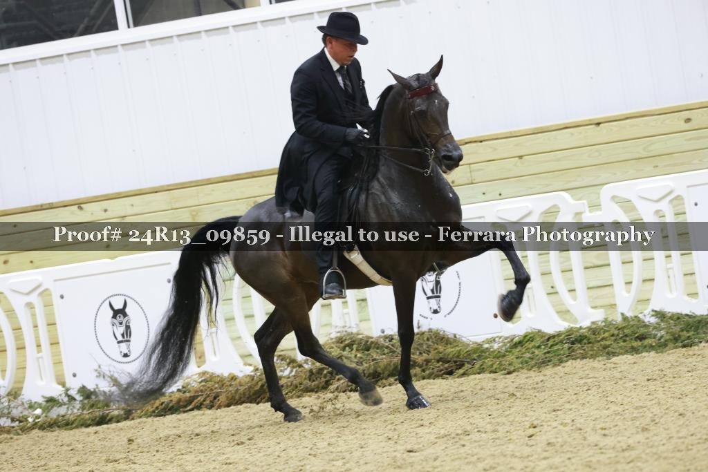 Proof 24R13_09859