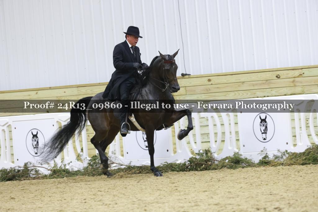 Proof 24R13_09860