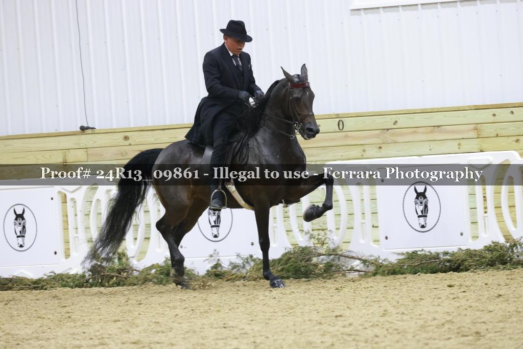 Proof 24R13_09861
