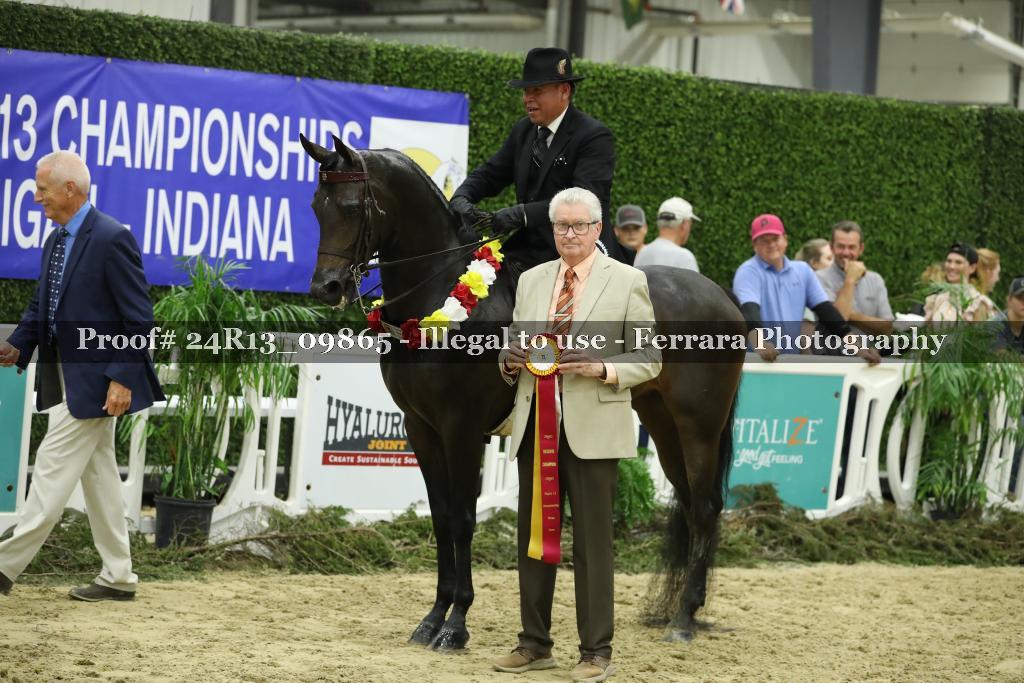 Proof 24R13_09865