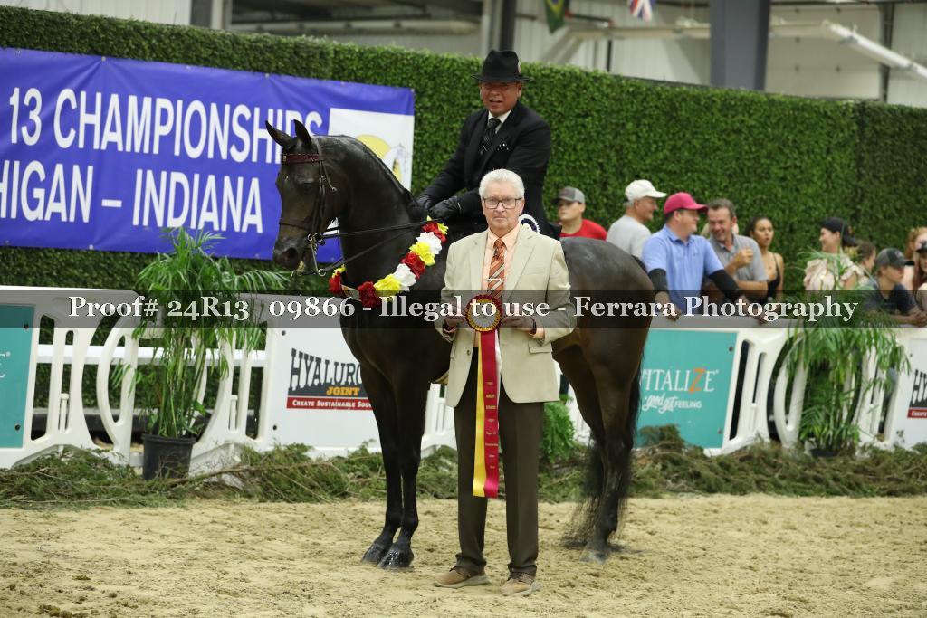 Proof 24R13_09866