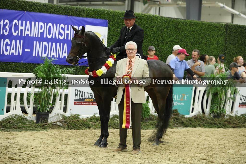 Proof 24R13_09869
