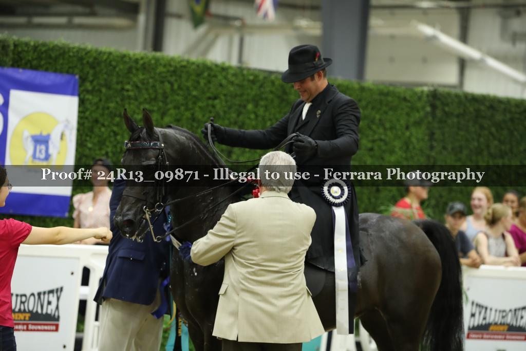 Proof 24R13_09871
