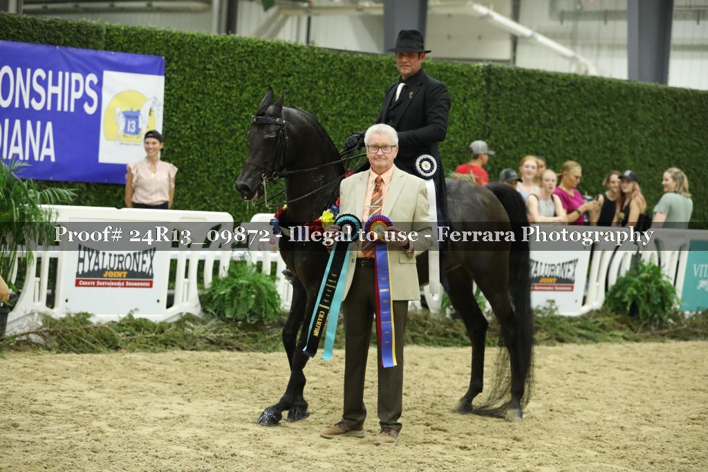 Proof 24R13_09872