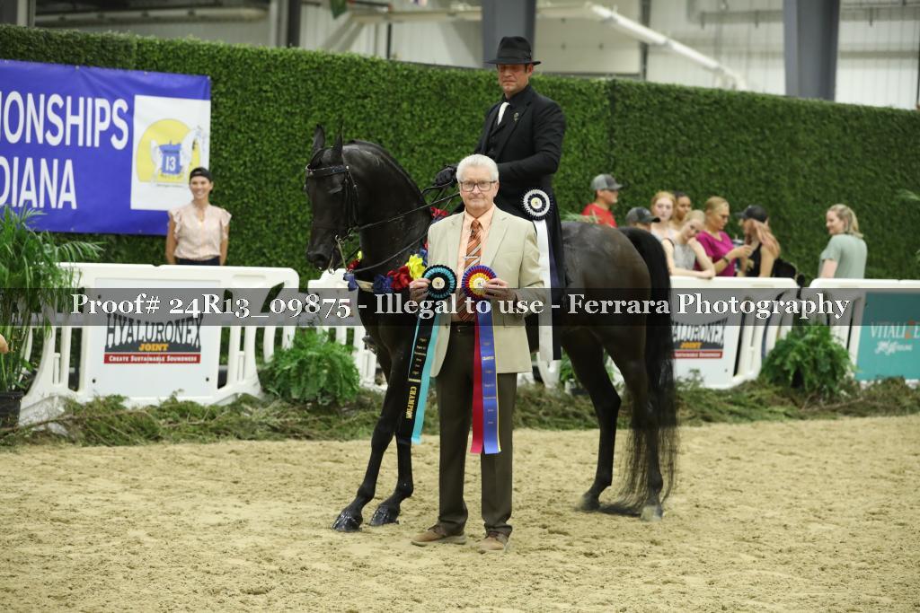 Proof 24R13_09875