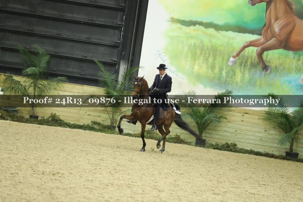 Proof 24R13_09876