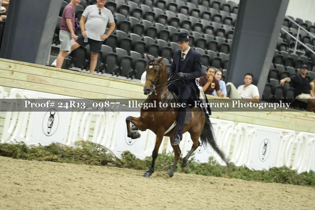 Proof 24R13_09877