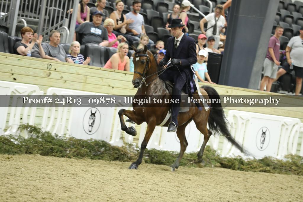 Proof 24R13_09878