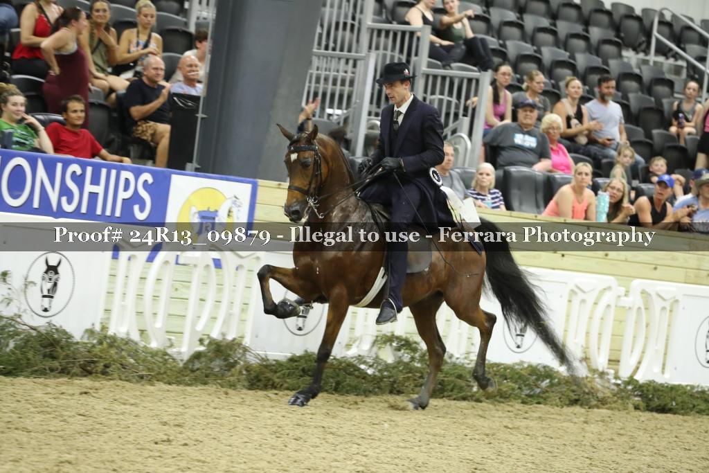 Proof 24R13_09879