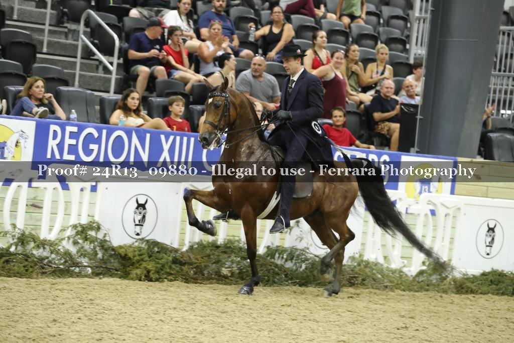 Proof 24R13_09880
