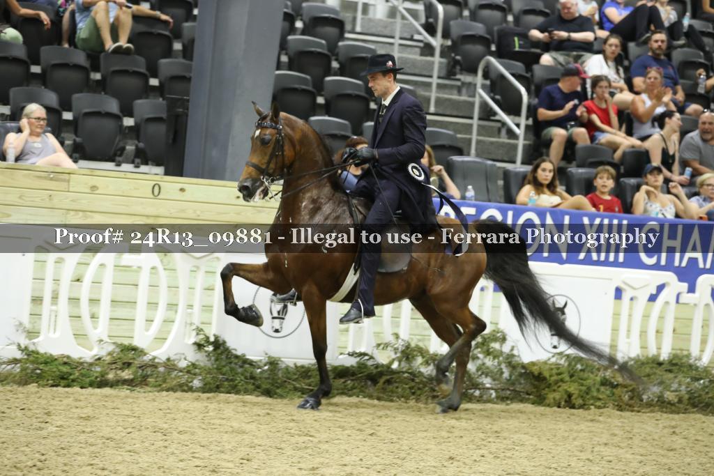 Proof 24R13_09881
