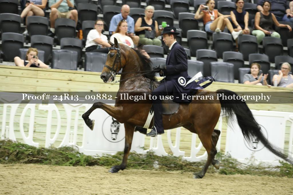 Proof 24R13_09882