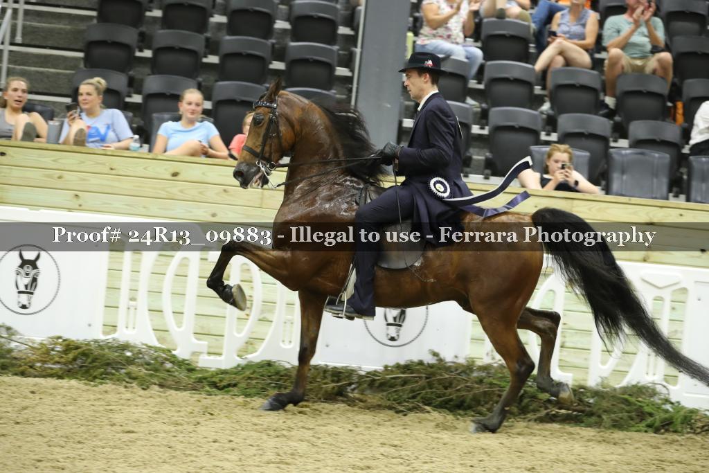 Proof 24R13_09883