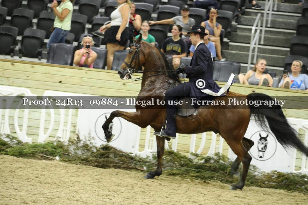 Proof 24R13_09884
