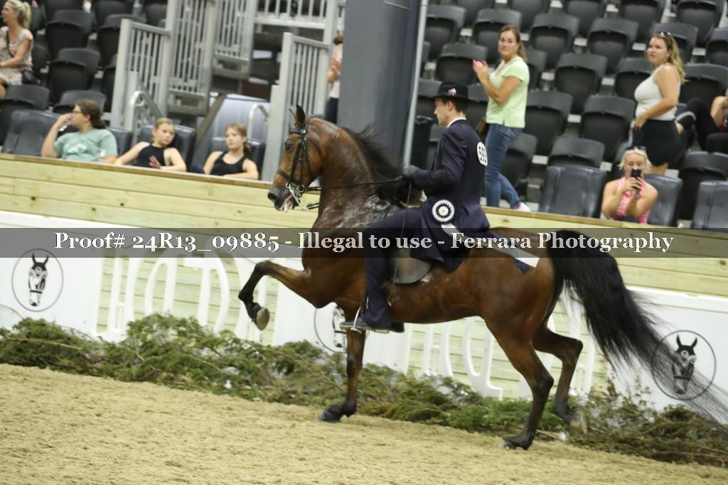 Proof 24R13_09885