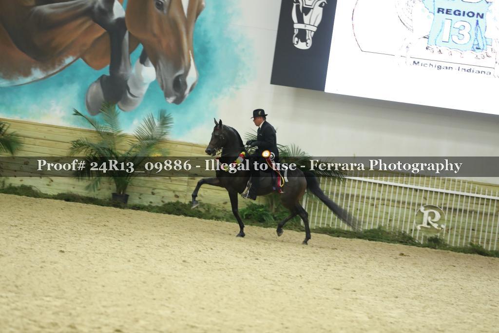 Proof 24R13_09886