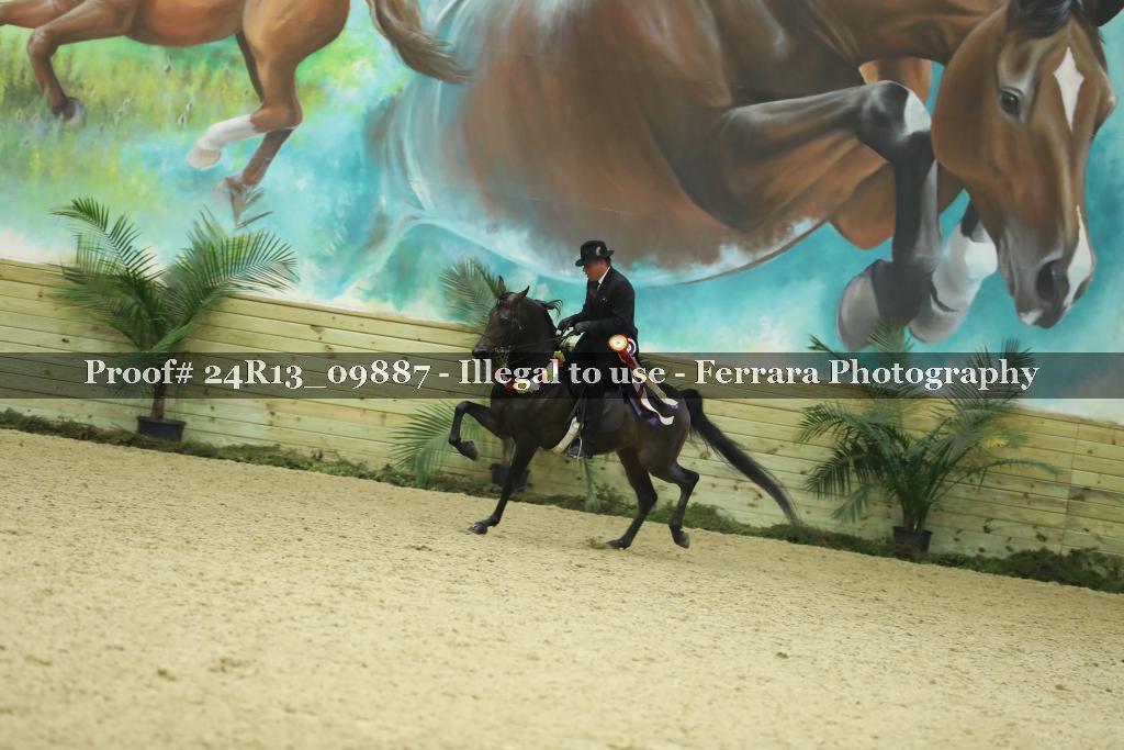 Proof 24R13_09887