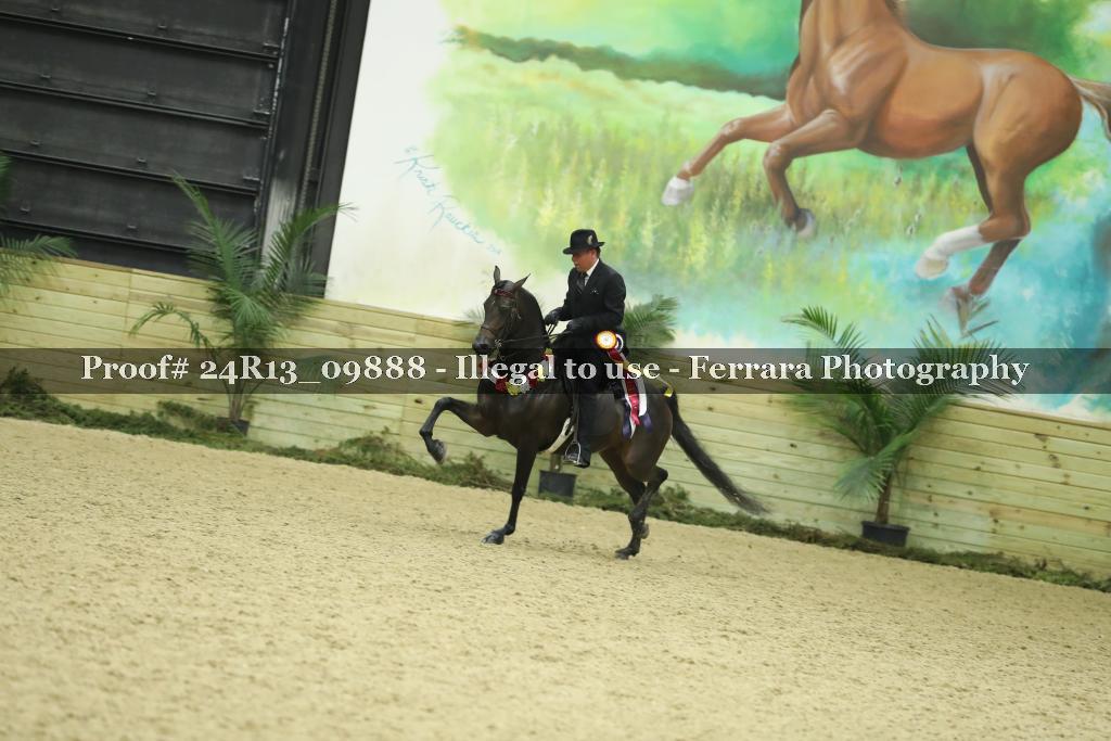 Proof 24R13_09888