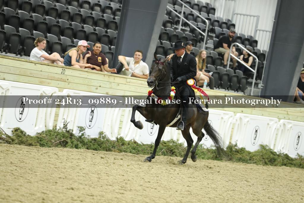 Proof 24R13_09889
