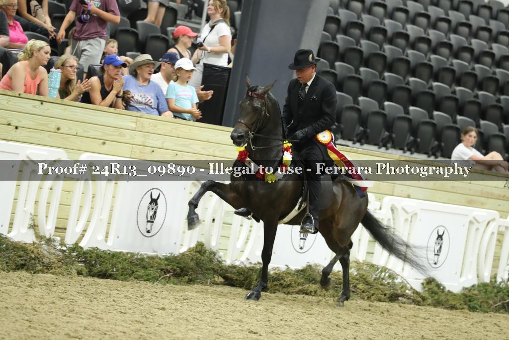 Proof 24R13_09890