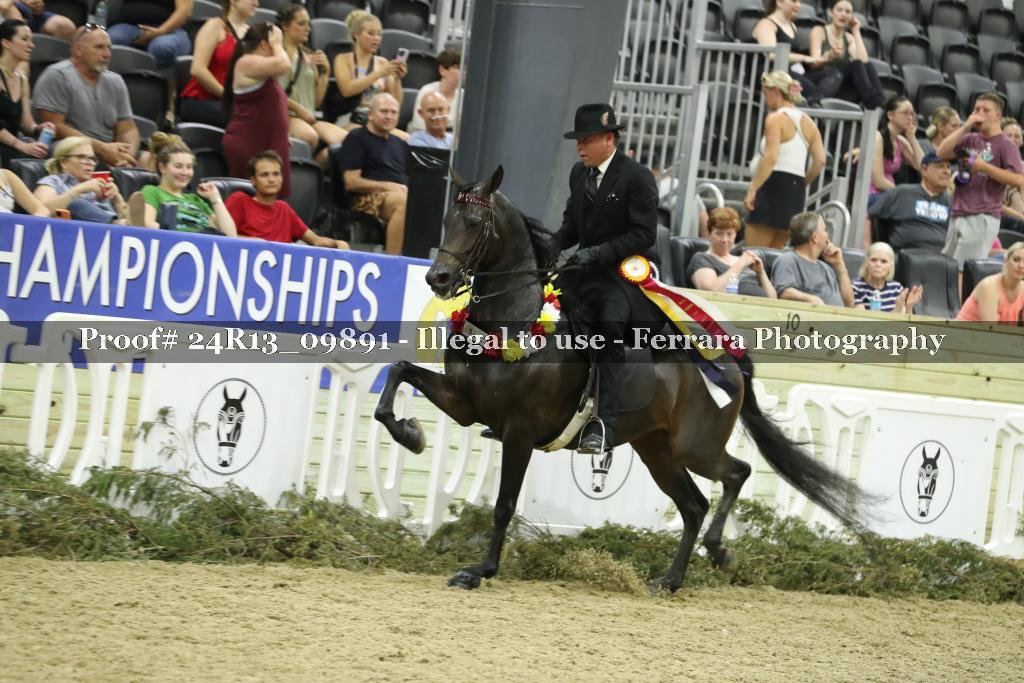 Proof 24R13_09891