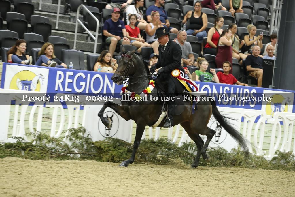 Proof 24R13_09892
