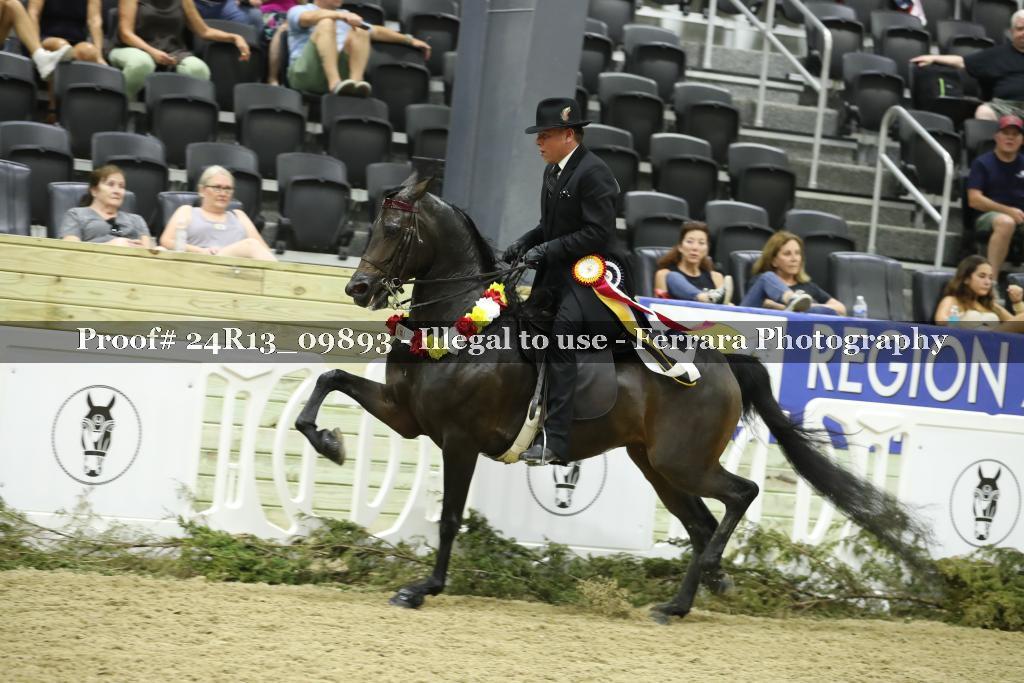 Proof 24R13_09893