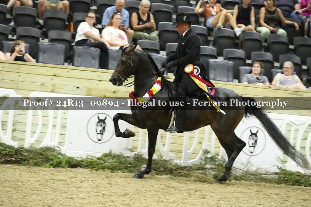 Proof 24R13_09894