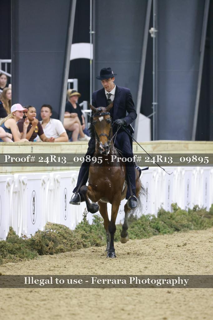 Proof 24R13_09895