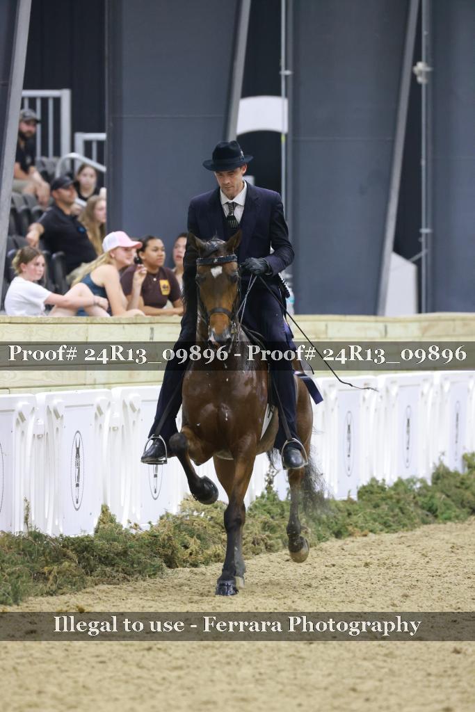 Proof 24R13_09896