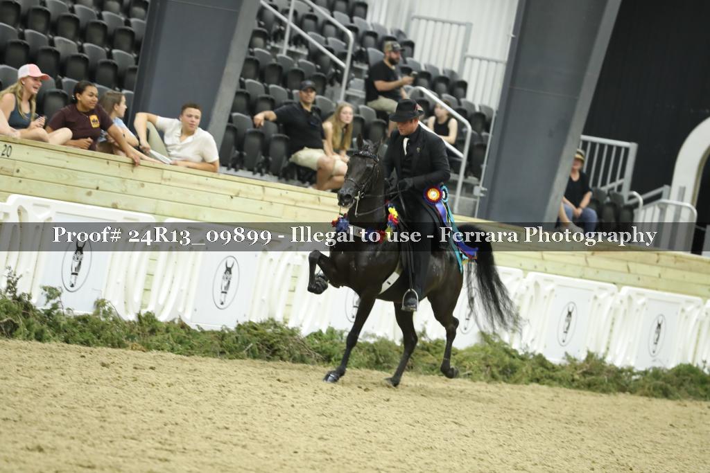 Proof 24R13_09899