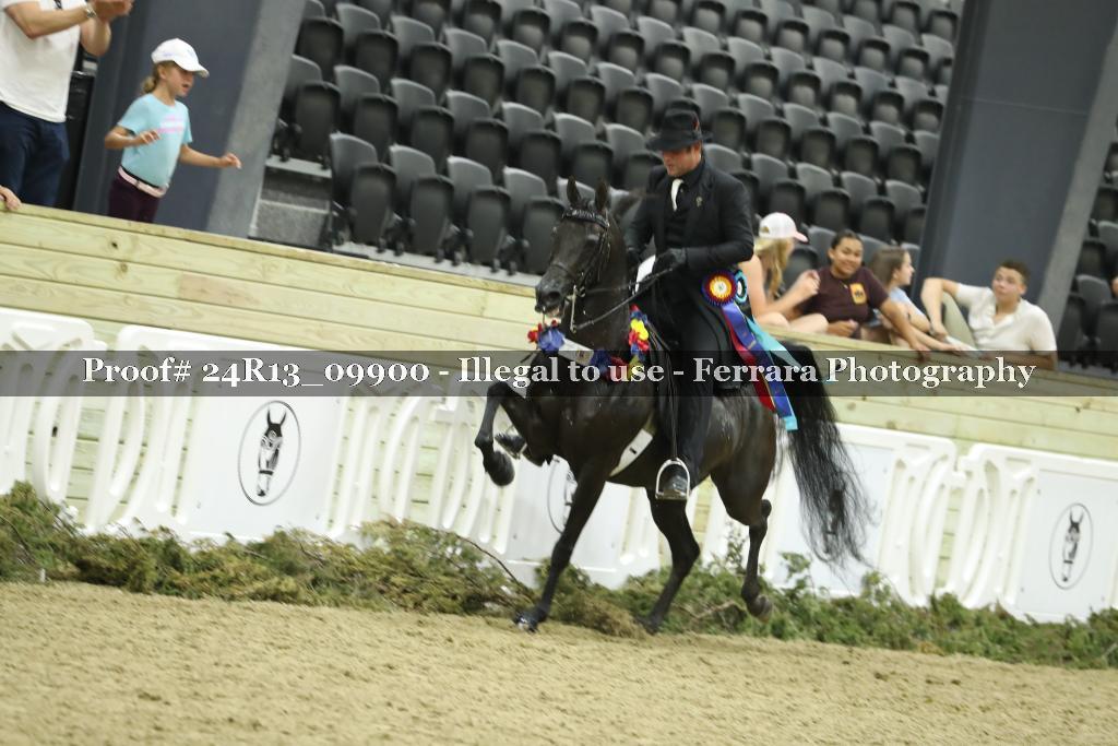 Proof 24R13_09900
