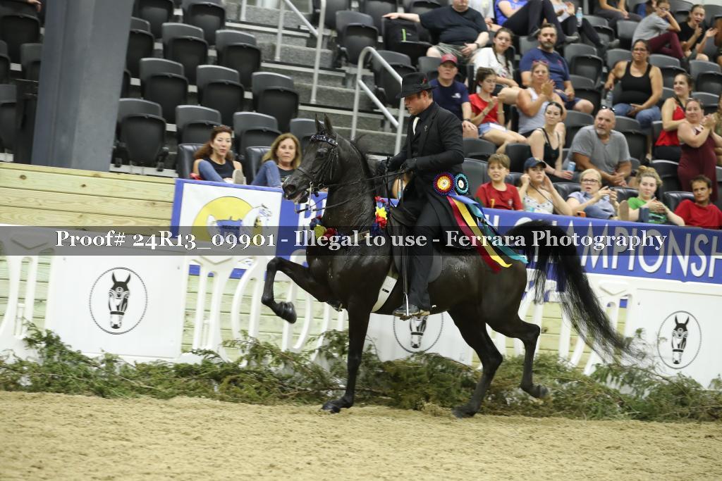 Proof 24R13_09901