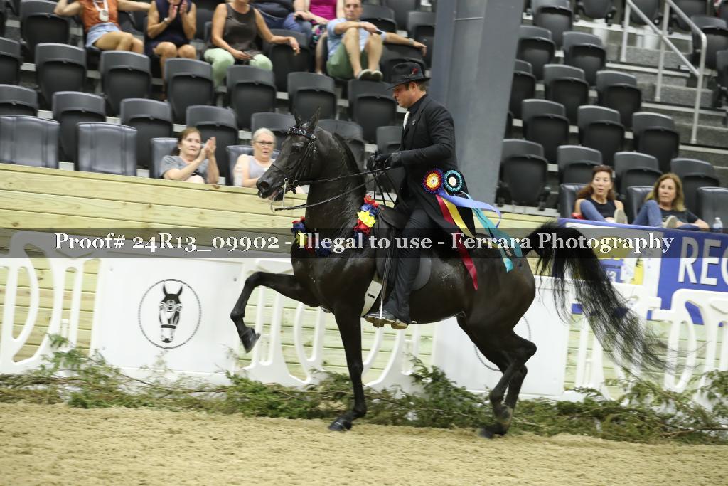 Proof 24R13_09902