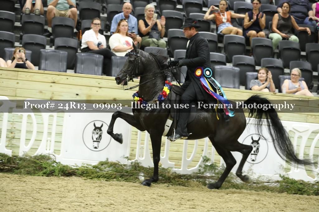 Proof 24R13_09903