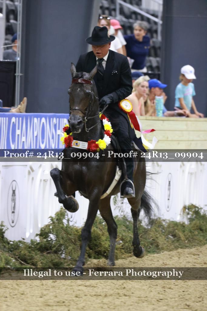 Proof 24R13_09904