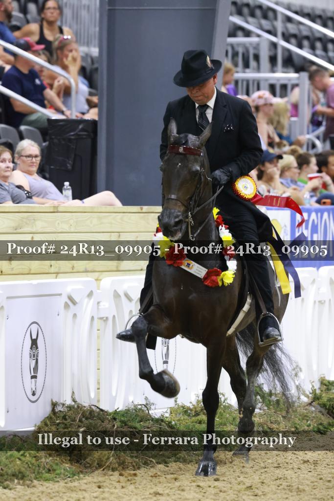 Proof 24R13_09905