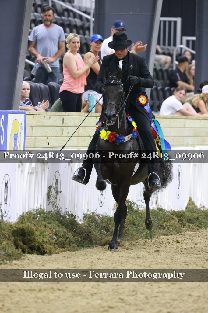 Proof 24R13_09906