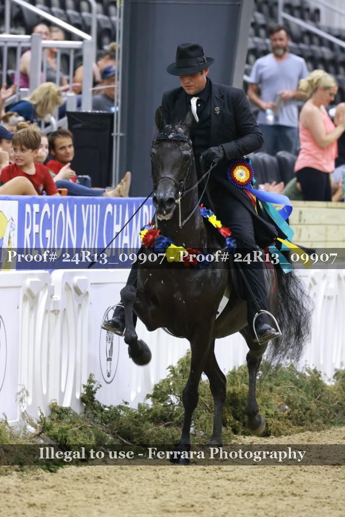 Proof 24R13_09907
