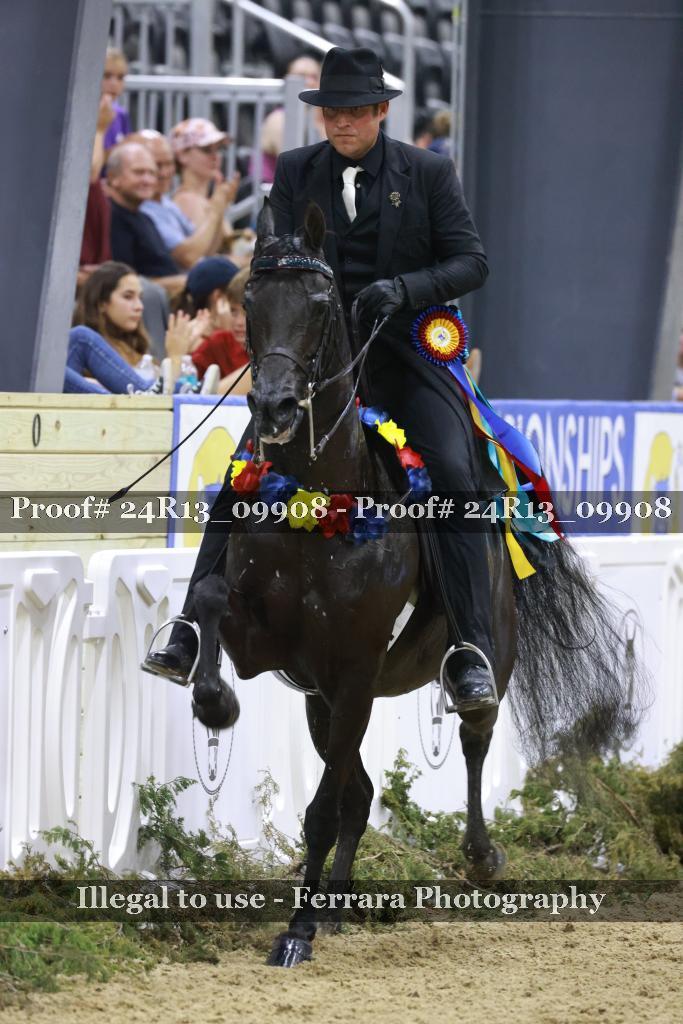 Proof 24R13_09908