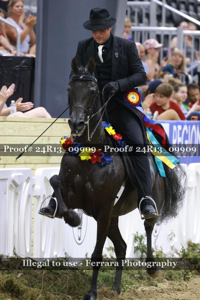 Proof 24R13_09909
