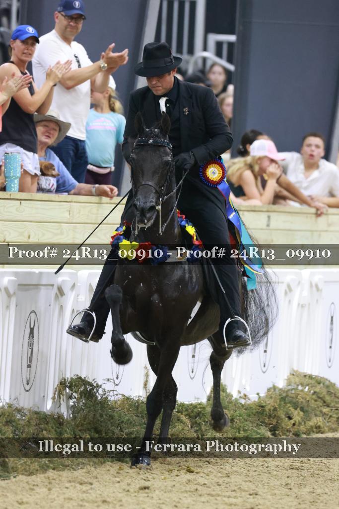 Proof 24R13_09910