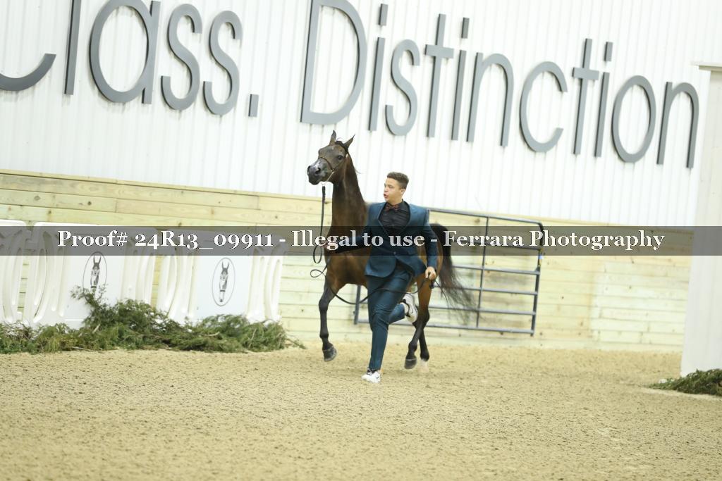 Proof 24R13_09911