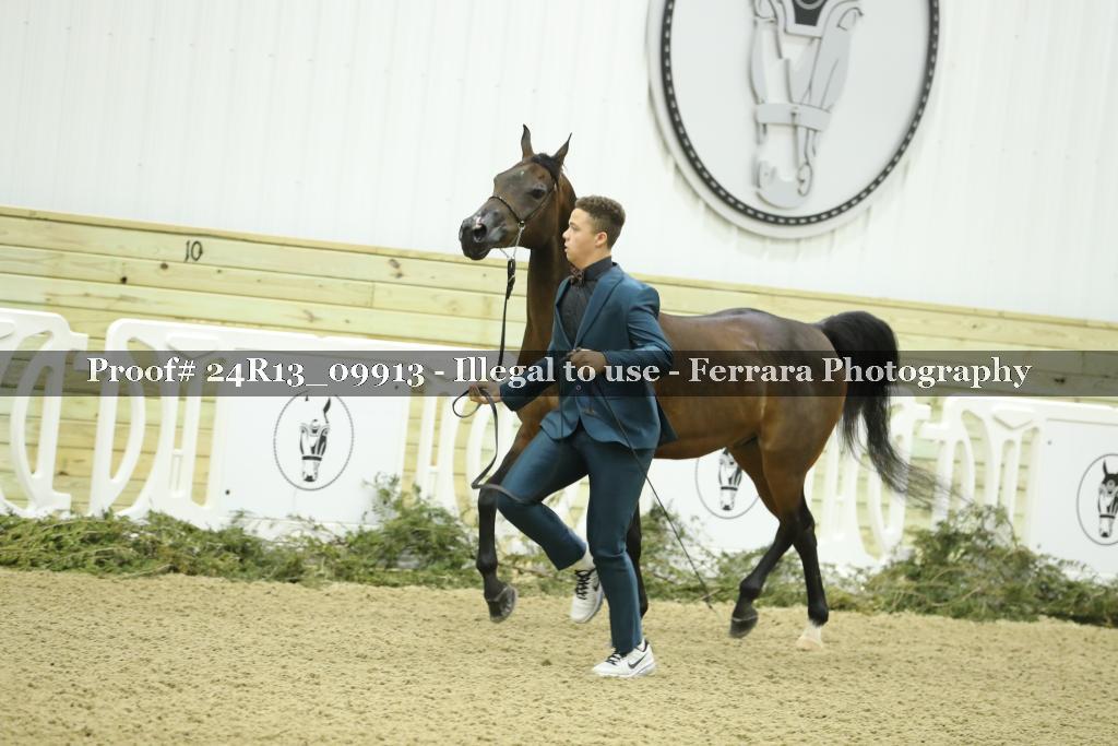 Proof 24R13_09913