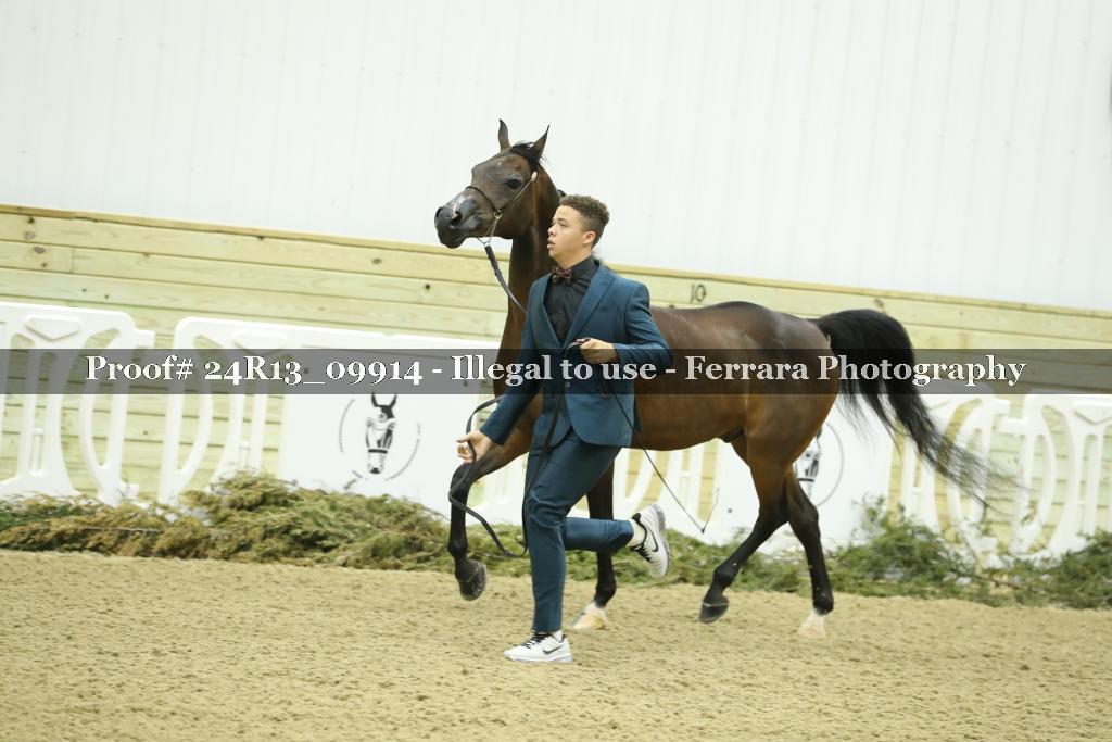 Proof 24R13_09914